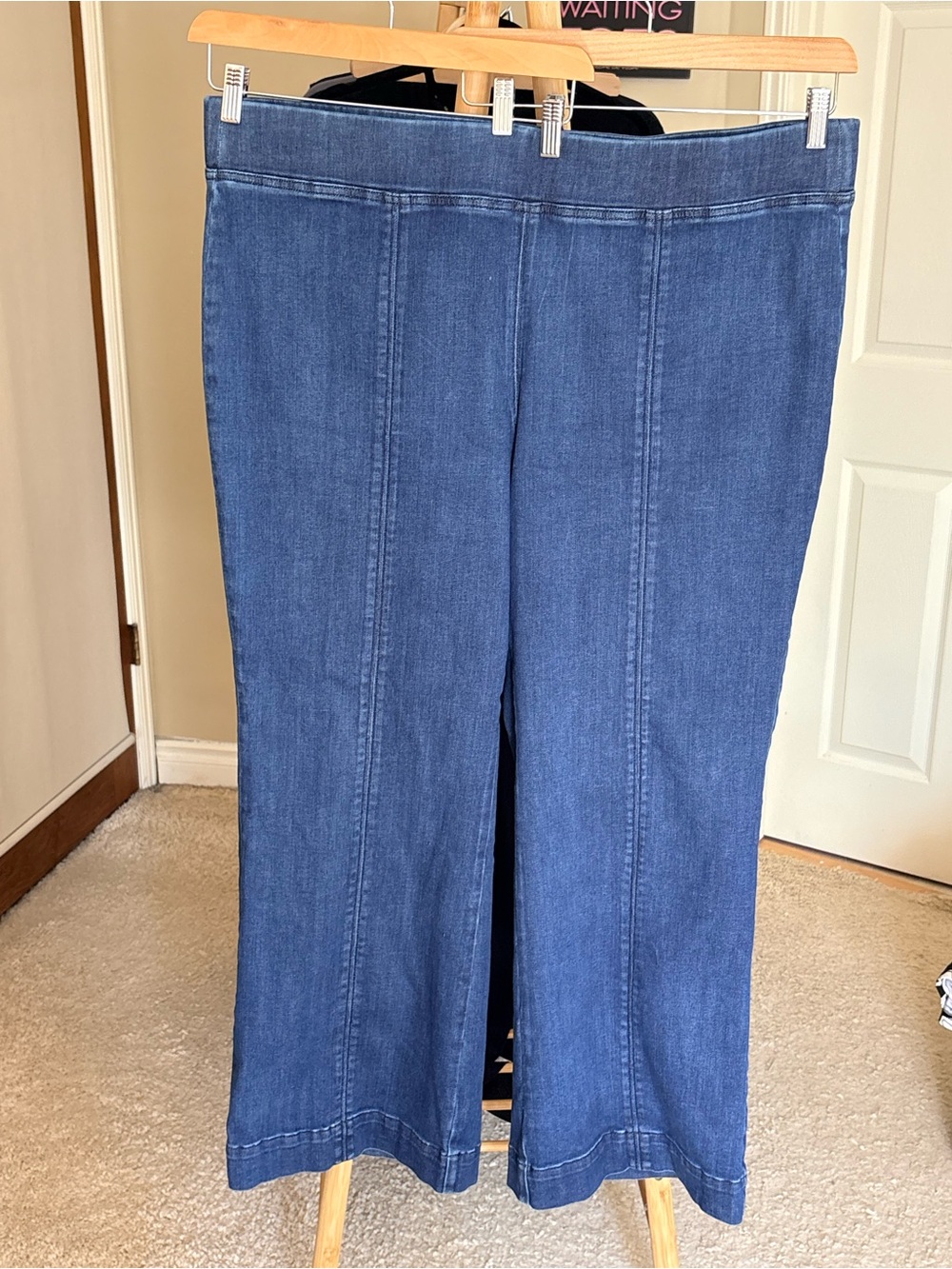 Talbots Pull On Flare Leg Trouser Travel Jeans with Seamed Front 3X (22W/24W)